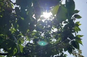 華北多地將迎今年來首個高溫天氣 西南地區局地有暴雨