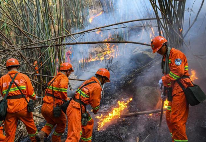 山西安澤山火暫無人員傷亡  多支救援力量全力投入撲救