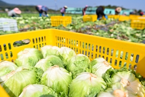 香港6月食物安全檢測整體合格率為99.9%