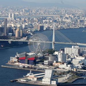 日本大阪府部分水體嚴重污染 約三成受檢者血檢異常