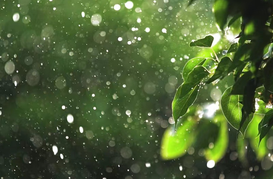 新一輪降雨要來！山東多地雷雨+陣風9級