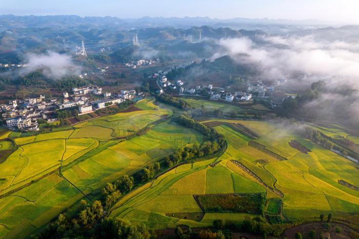 貴州秋日田野景如畫