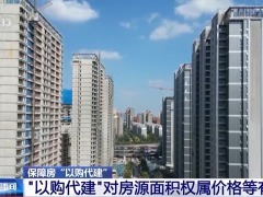 “以購代建”模式在多地落地 什么樣的房子可以被收購？