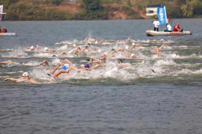 全國200余名馬拉松游泳運動員浙江柯城角逐