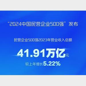 新華社權威快報｜“2024中國民營企業(yè)500強”發(fā)布