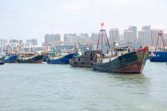 海洋伏季休漁成效顯著 資源衰退趨勢得到初步緩解