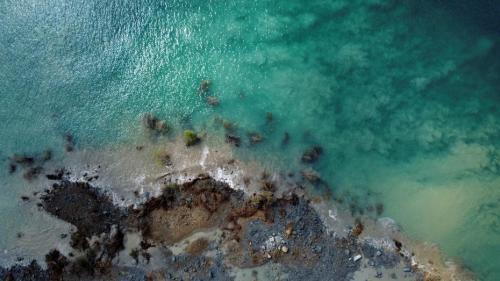 中國科學院研究團隊揭示海洋次表層熱浪/冷浪的關鍵機制