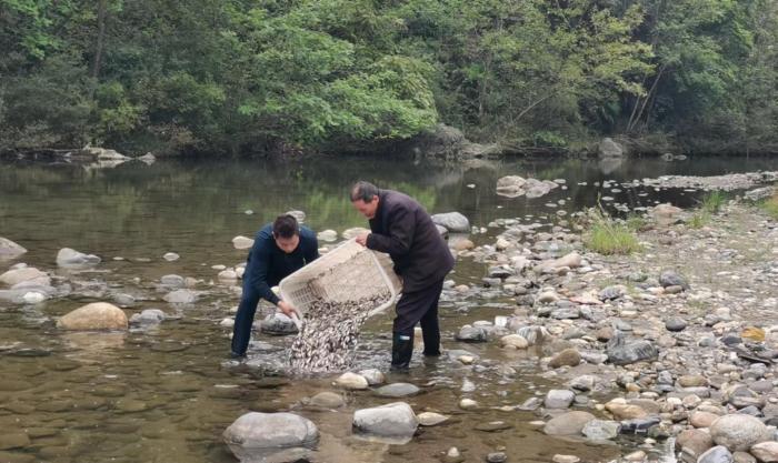 陜西漢中朱鹮保護區開展朱鹮覓食地增殖放流活動