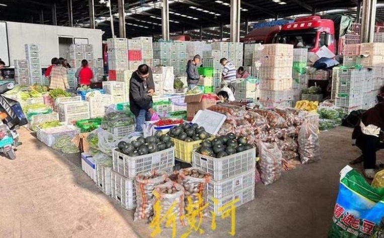 连续7天降价，济南菜价较上周环比下降16.5%