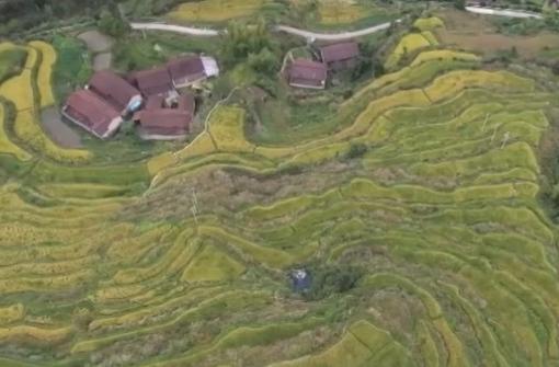 生态赋能高山梯田展新颜 “良田+美景”成农户增收新密码