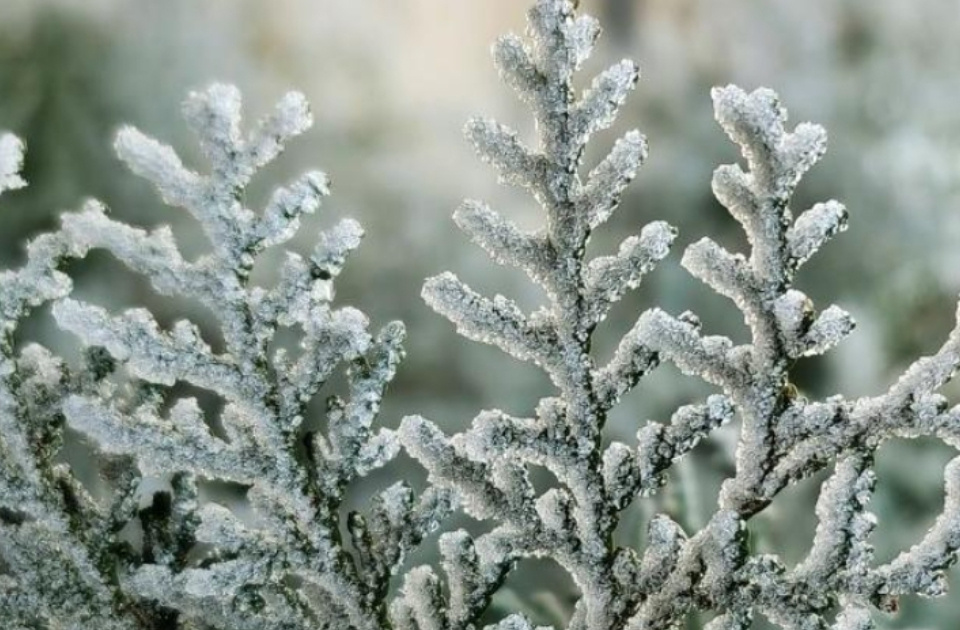 山東發布下半年來首個寒潮預警 最低氣溫0—2℃