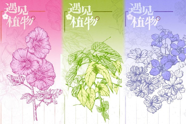 治蜀興川｜花開天府，萬千氣象