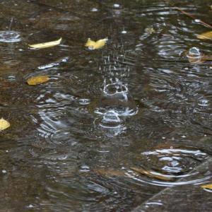 下半年首场寒潮影响我国 大风降温雨雪齐“上线”