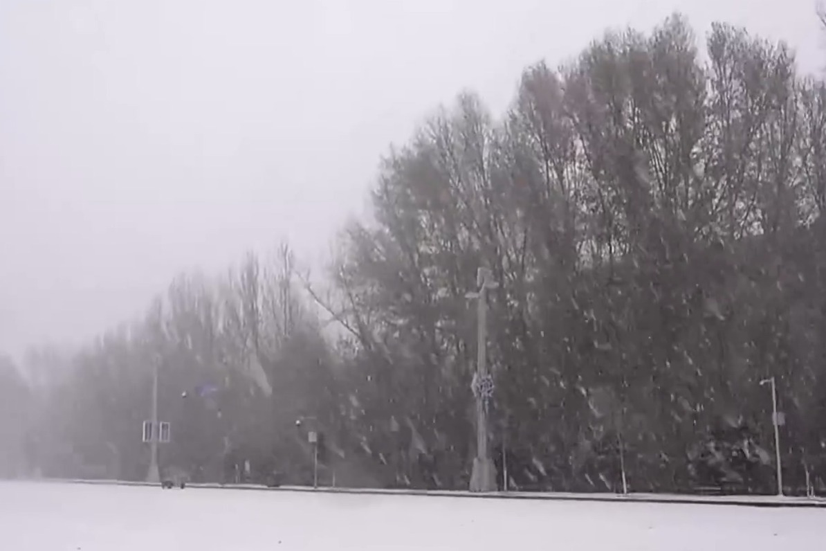 雙預警齊發，山東兩地有中到大雪局部暴雪