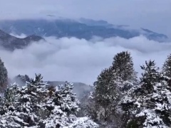 局地降溫超18℃！暴雪、寒潮、大風三預警繼續發布