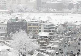 韓國(guó)首爾降下大雪 積雪量超16厘米創(chuàng)紀(jì)錄