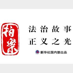 拍案|莫讓錯誤的愛釀成傷害——涉大熊貓造謠與誹謗案件追蹤