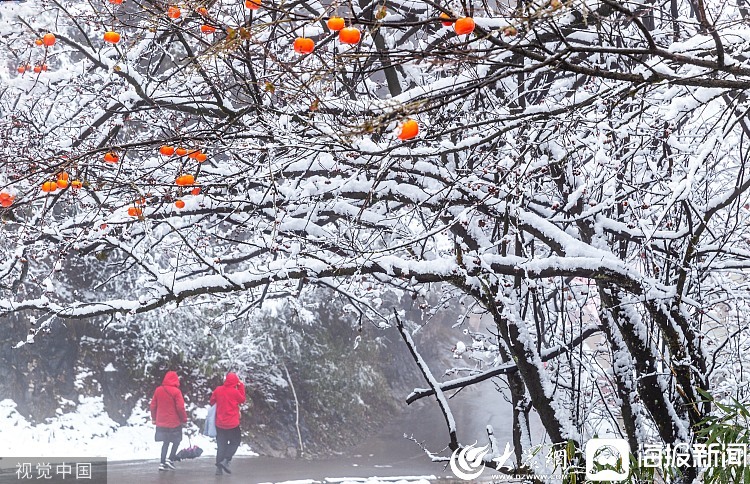 大風(fēng)、寒潮、大霧、暴雪！中央氣象臺(tái)四預(yù)警齊發(fā)