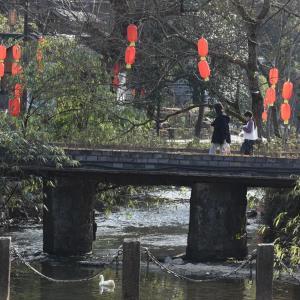 新春走基層丨打好“山水牌”，在梵凈山下探尋“世外桃源”