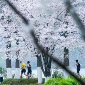 科學(xué)春練避誤區(qū) 循序漸進(jìn)強體魄