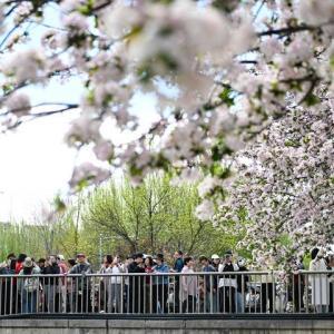 清明假期首日全國(guó)交通出行人數(shù)近2.9億人次