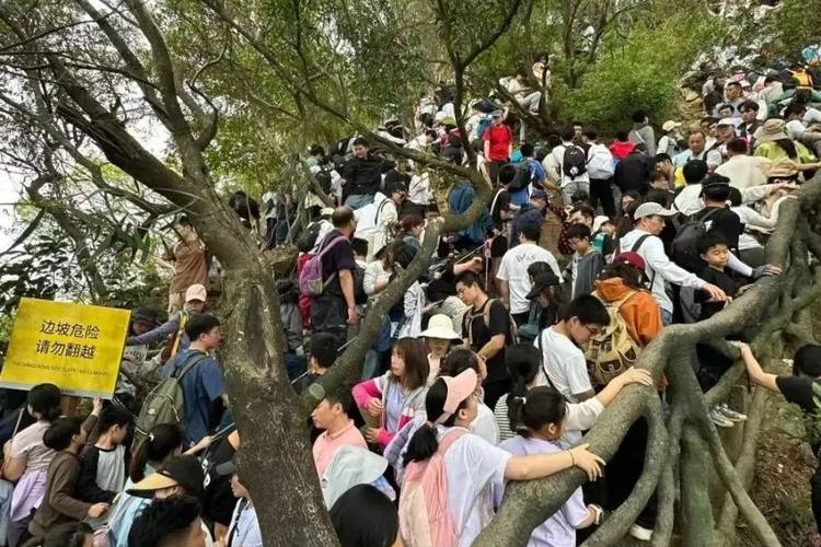 清明假期全社會跨區域人員流動量約7.9億人次