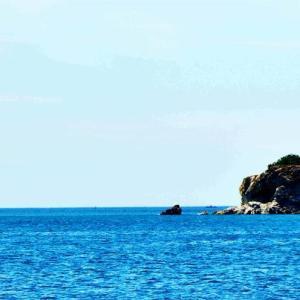 預計今夏我國渤海、黃海和東海北部海溫略偏高