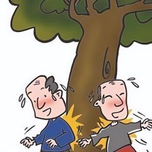 “撞樹鍛煉”？專家提醒可能傷身