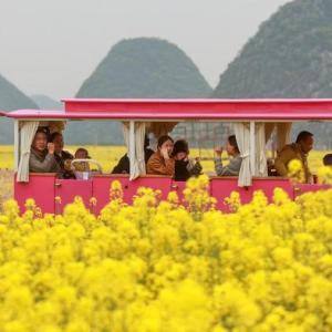 清明假期“流量”變增量 濃郁春意點亮文旅新意