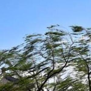 局地陣風超13級！北京發布近10年首個全市大風橙色預警