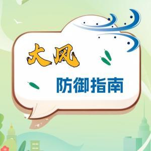 嘮“科”話｜極端大風！如何防范？收好這份防御指南
