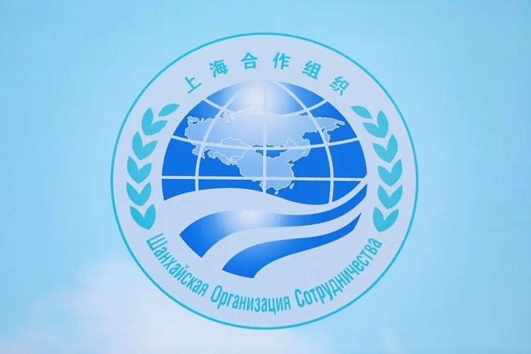 上海合作組織聲明