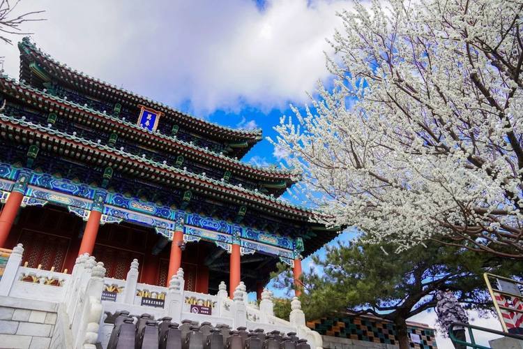 北京多個景區恢復開放，游船等項目繼續暫停運營