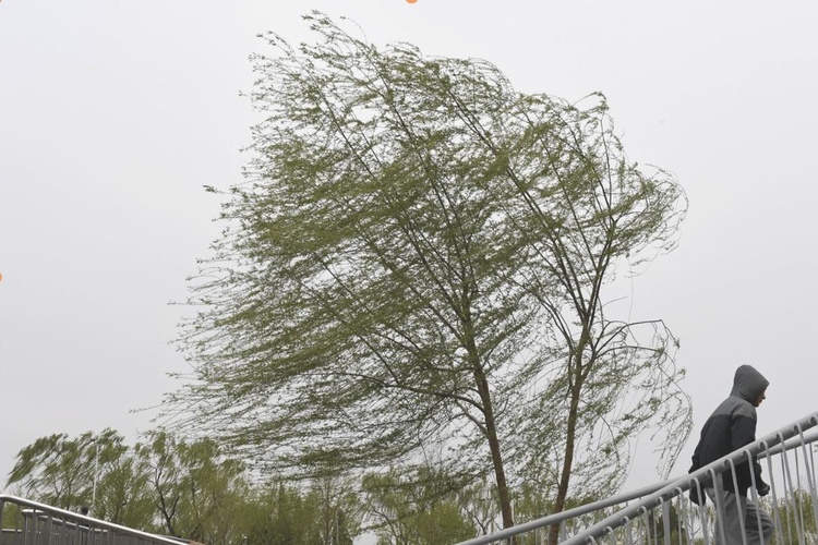 大風“吹”來的損失，誰擔責