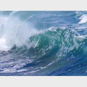 新研究：全球氣候變暖導致極端海洋熱浪猛增