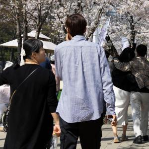 韓國確診今年首例“蜱蟲病”病例