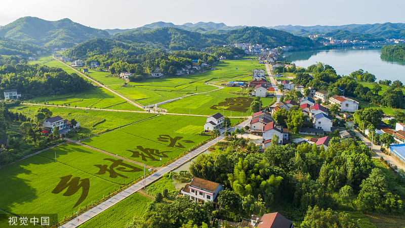 濟南市城管局城肥中心榮獲市級表彰