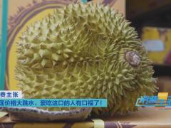 榴蓮價格走低 首批國產“樹上熟”榴蓮也將上市！口感如何？