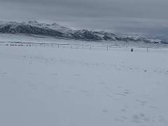 別地在炙烤青海在裹貂 當地氣象局回應：是下雪了，但僅是海拔高區域