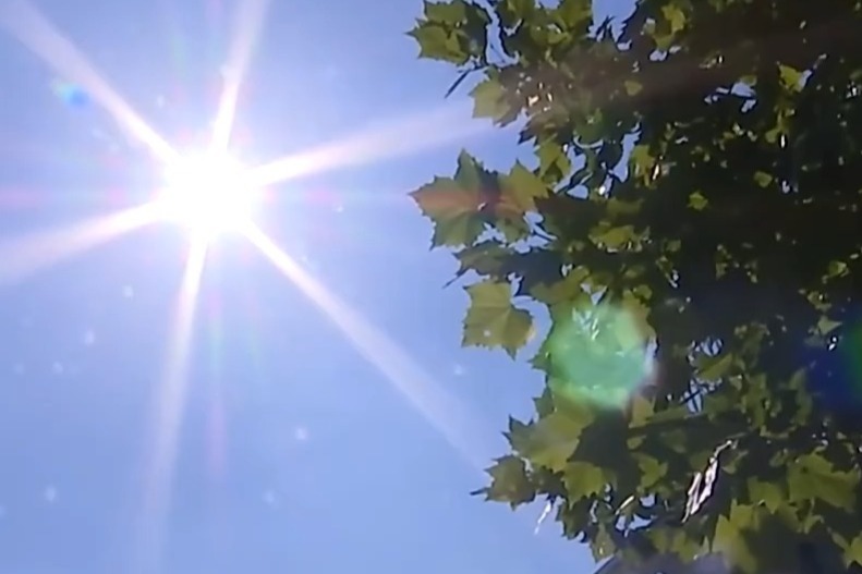 極端高溫侵襲 越來越熱的夏天該如何應對？