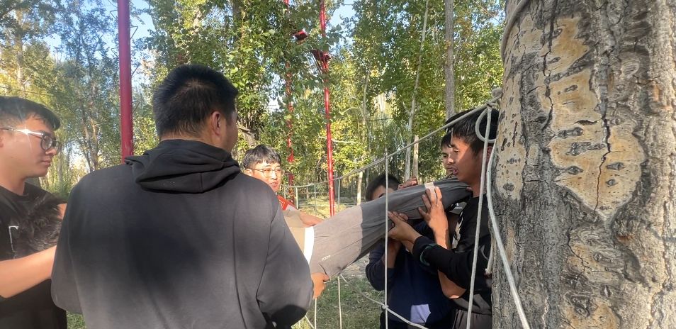 154a12abf2db37a652520f080f73ce3.png 154a12abf2db37a652520f080f73ce3.png