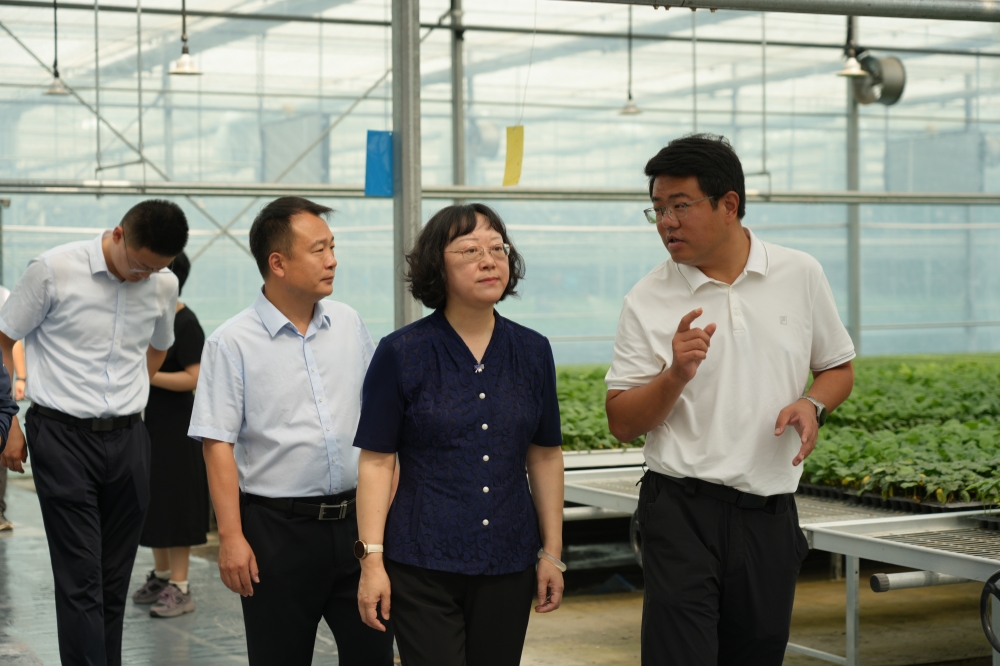 乡村振兴驿站建设 | 学校党委副书记张然带队到东平县调研“标杆、样板”驿站建设