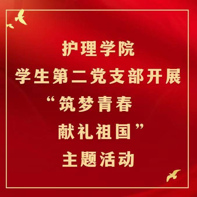 样板风采丨护理学院学生第二党支部开展“筑梦青春 献礼祖国”主题活动