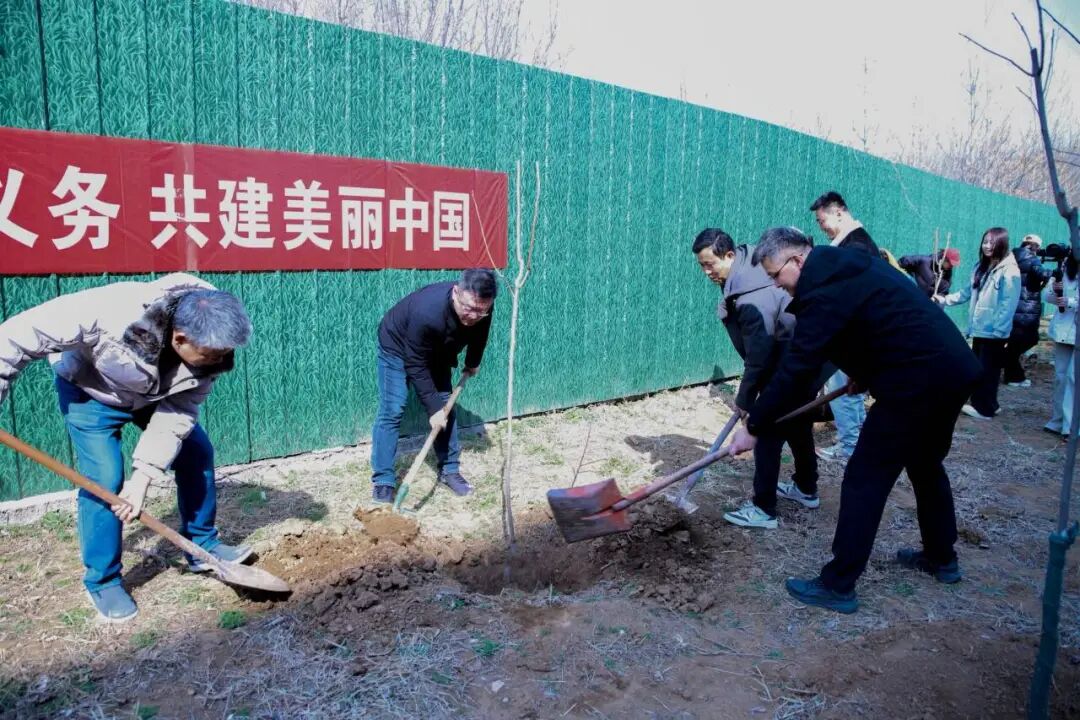 【信工资讯】春风植新绿 共筑生态情 | 信息工程系开展植树节主题实践活动