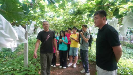 数智赋能乡土产业青春科创助力乡村振兴——山传学子赴沂南蒲汪镇开展现代农业数字化产业链调研