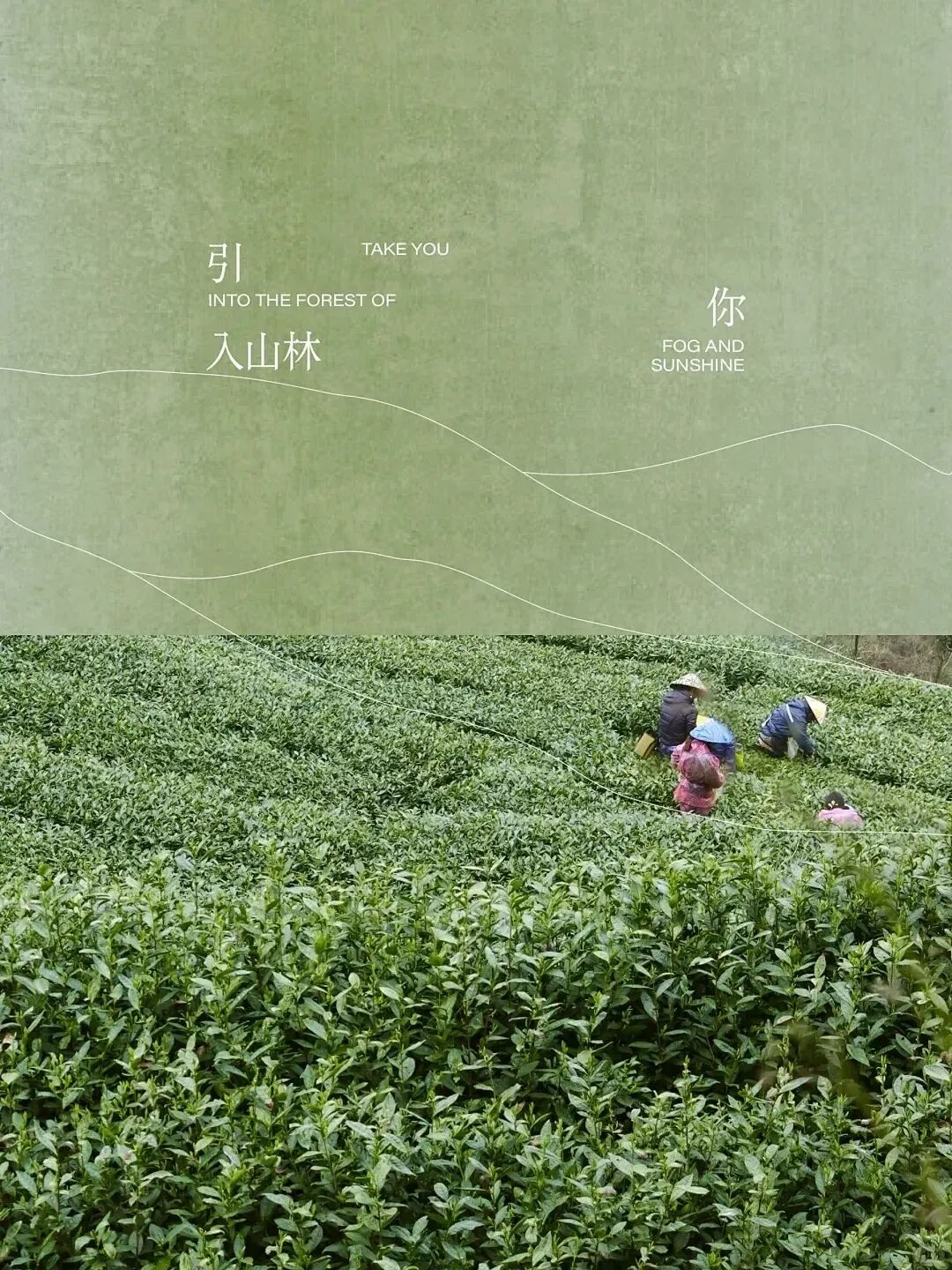 【专业云课堂】留白见风骨：新中式海报的极简排版美学！