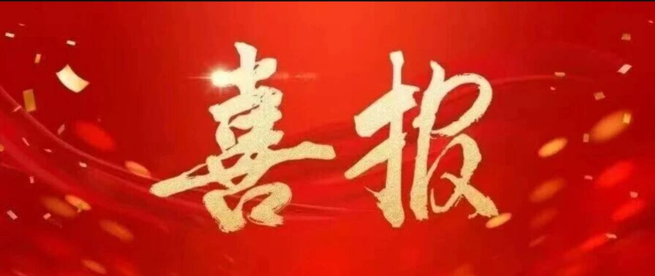 喜报！艺术设计系学生党支部获评第二批省直机关“四强”党支部