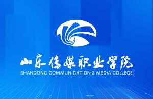 山东传媒职业学院网络安全设备维保项目竞争性磋商公告