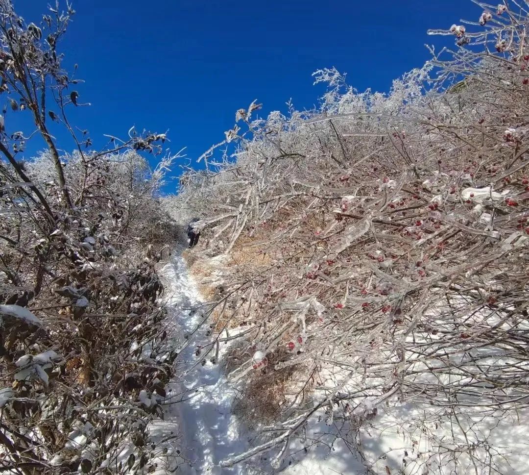 邹平山图片