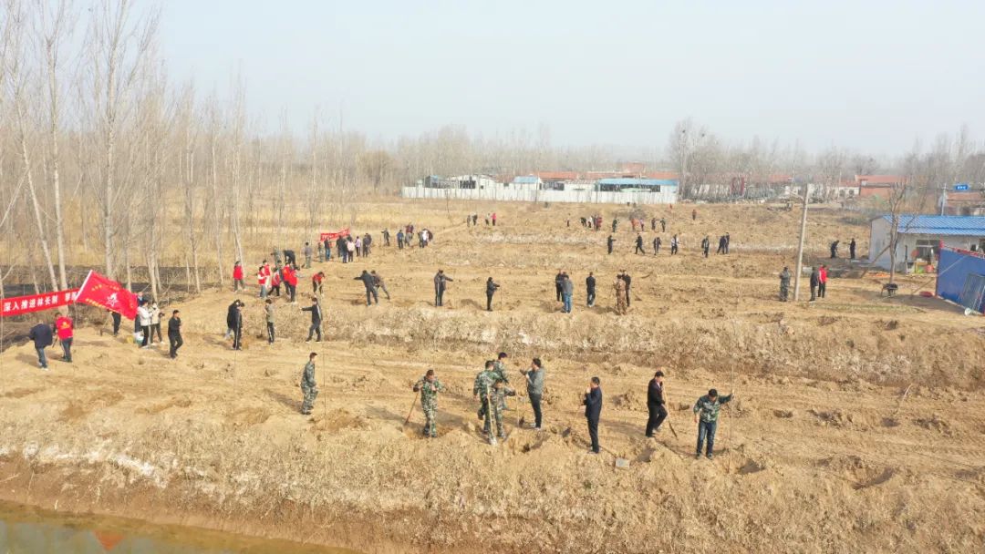 邹平市台子镇开展义务植树活动